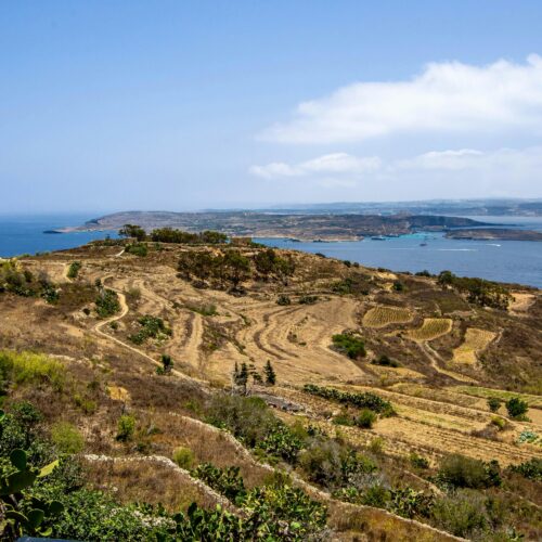 gozo property management